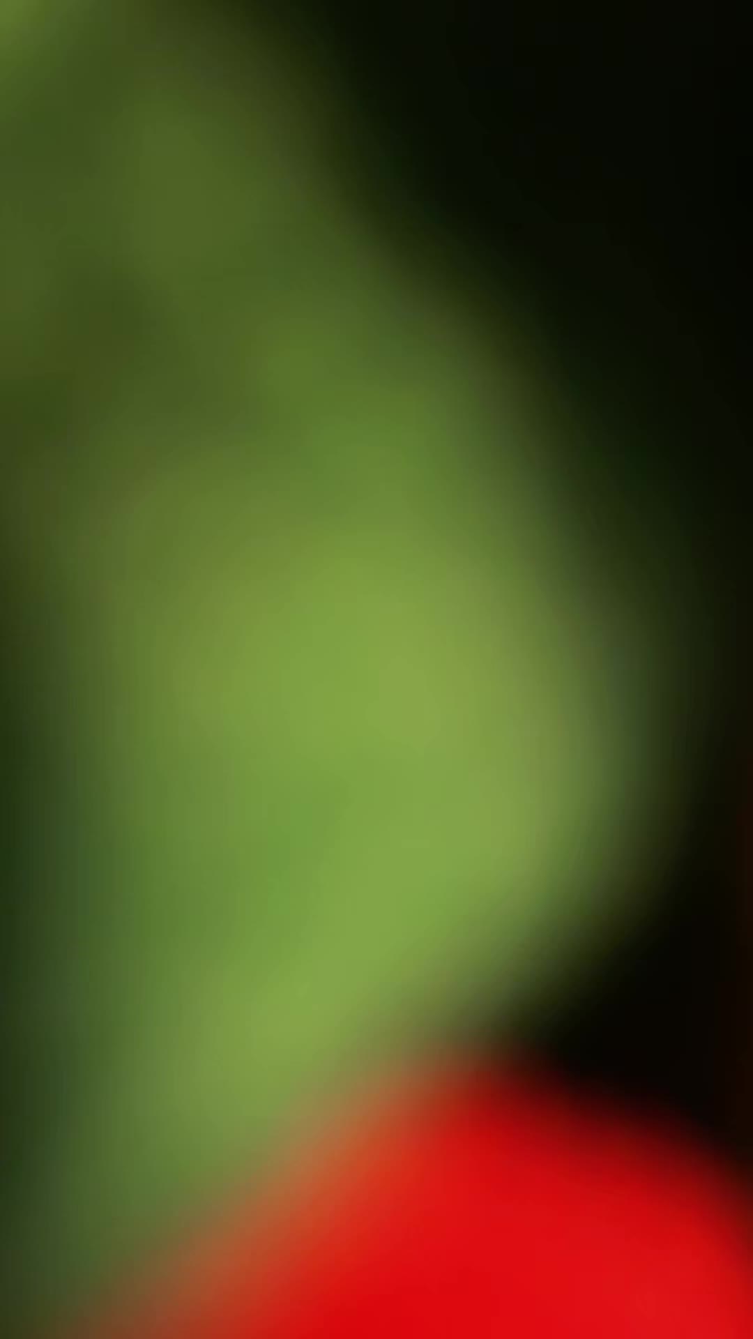 @🧟&zwj;♀️𝔐𝔦𝔯𝔞𝔫𝔡𝔞🧟&zwj;♀️🏹