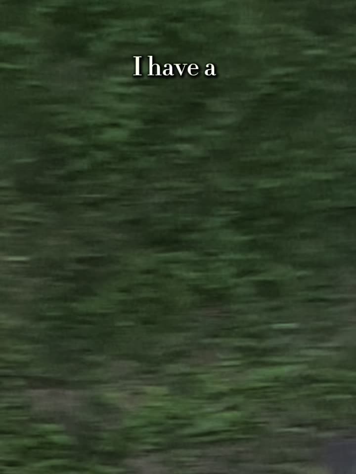 @Ava Finn