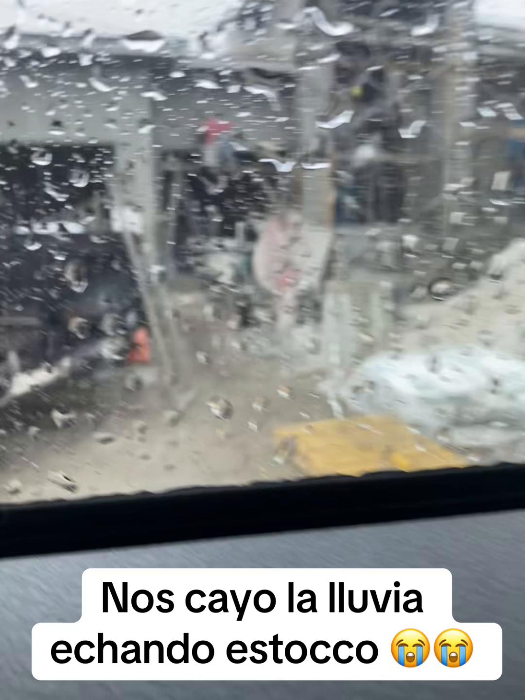 @Berto