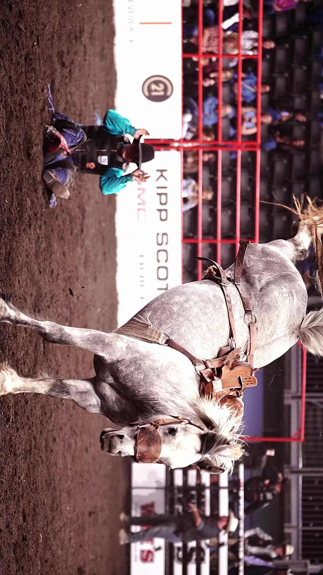 @Hanginghorses