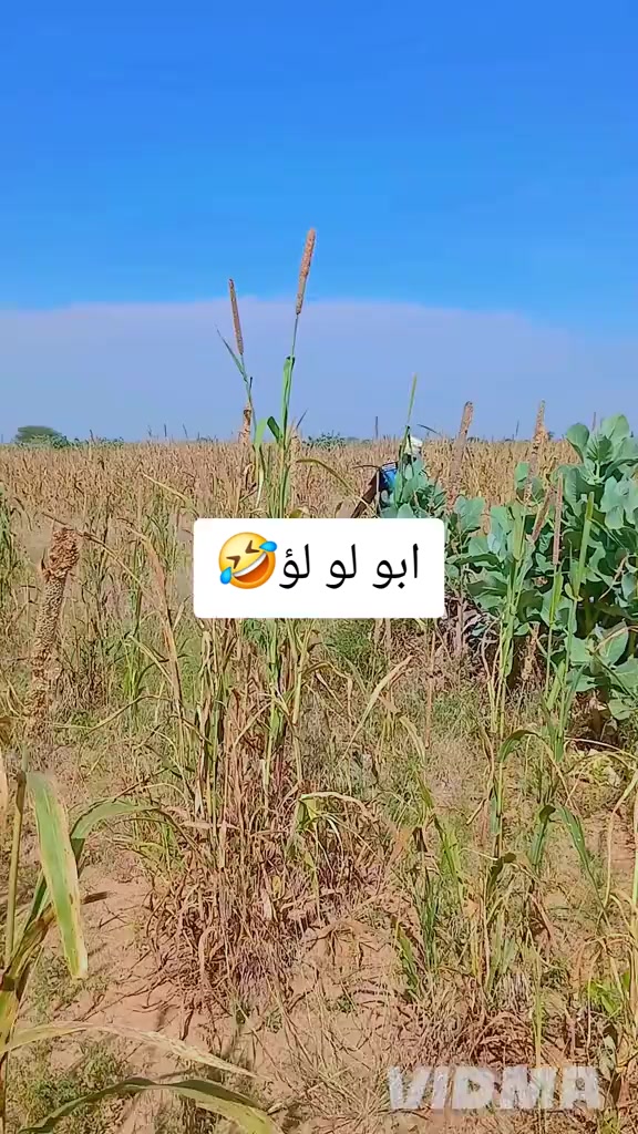 @🎖️𝐀𝐁𝐃𝐀𝐑𝐀𝐌𝐀𝐍البطحاوي