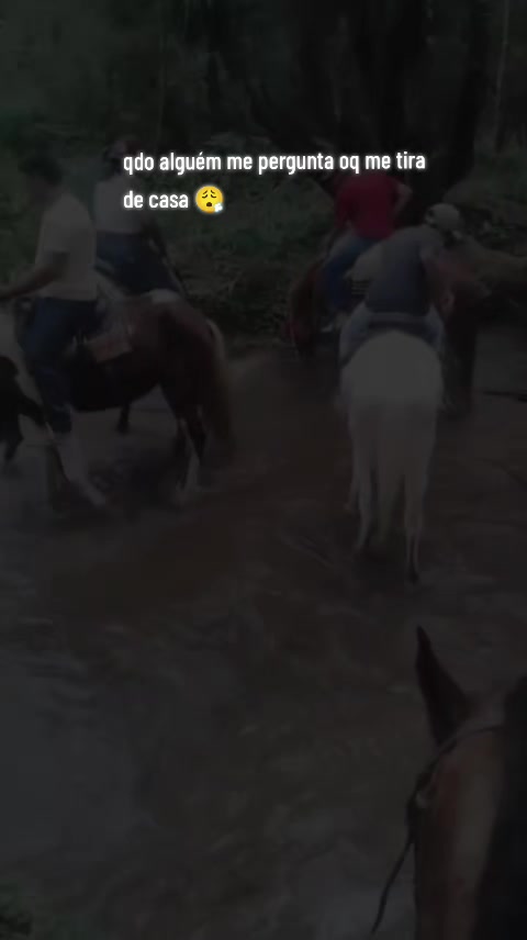 @Brunaaa