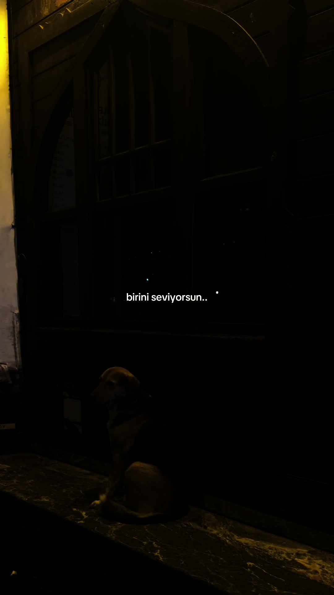 @𝓶𝓸𝓸𝓷𝔀𝓱𝓲𝓼𝓹𝓮𝓻 🌙