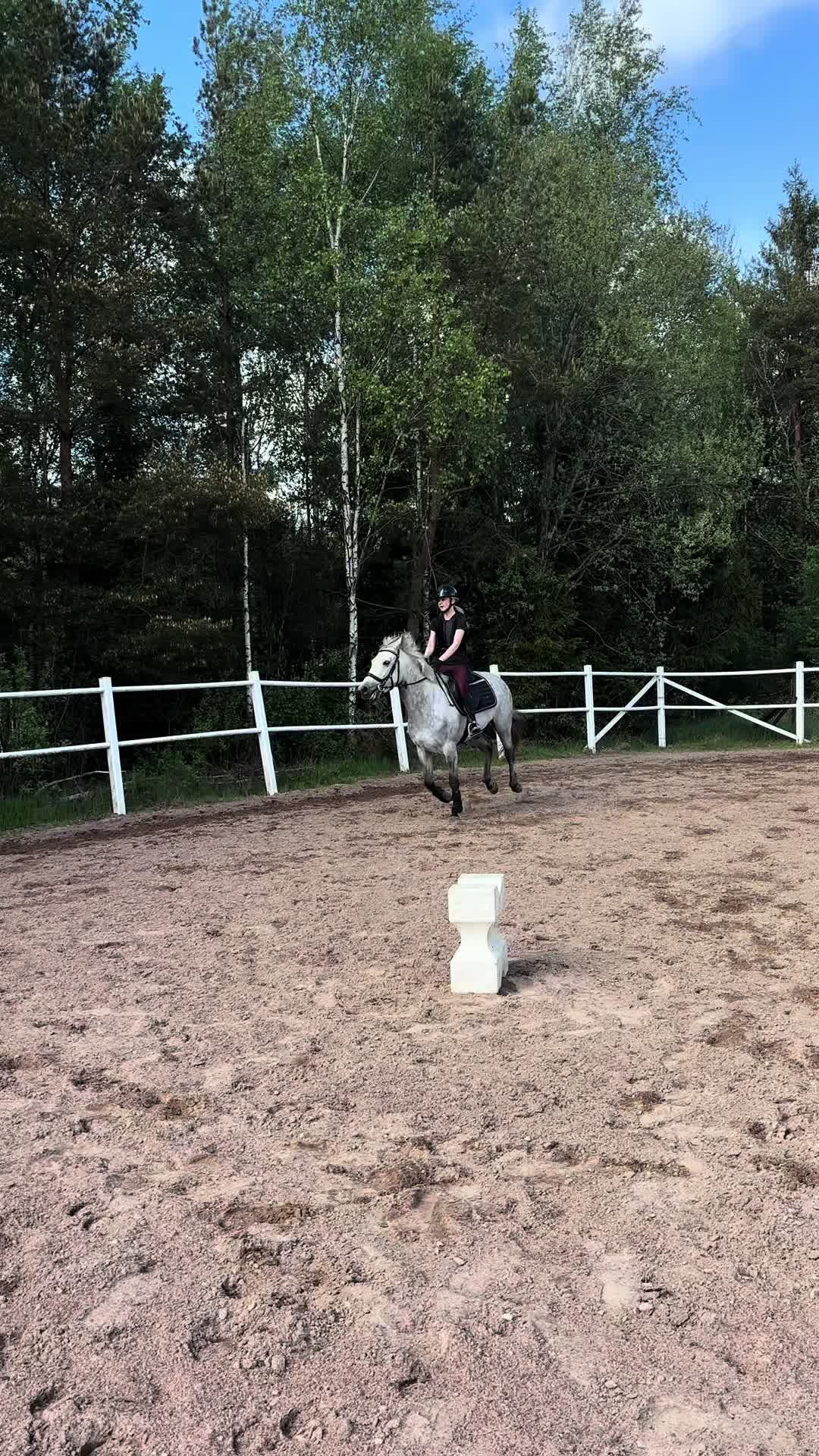 @Ella Karlsson
