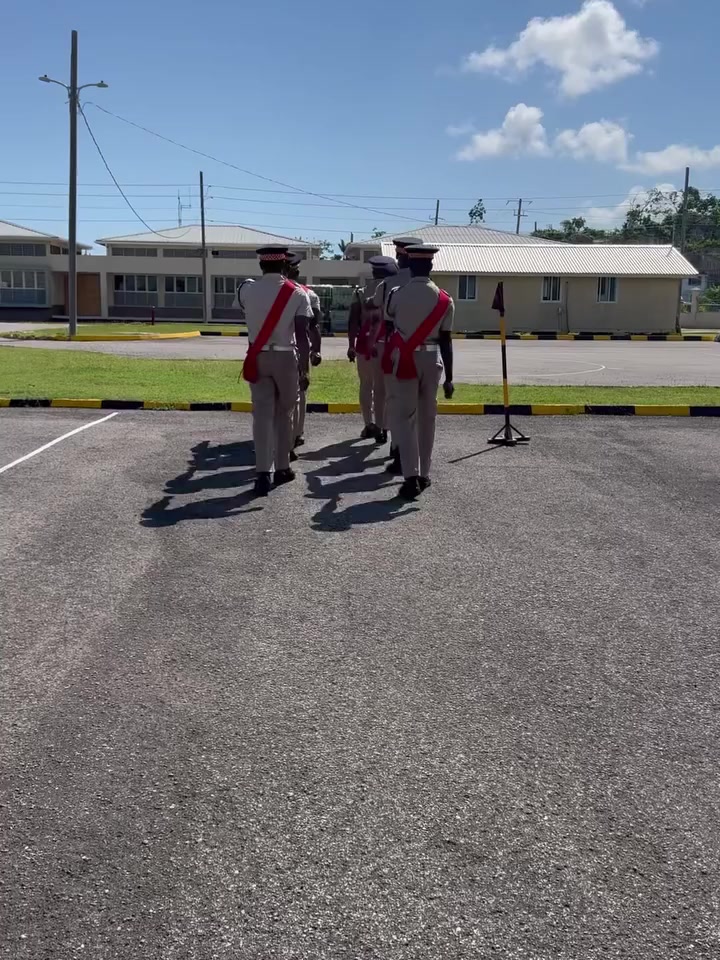@FOR🐊AMUSEMENT🇯🇲ONLY🐊