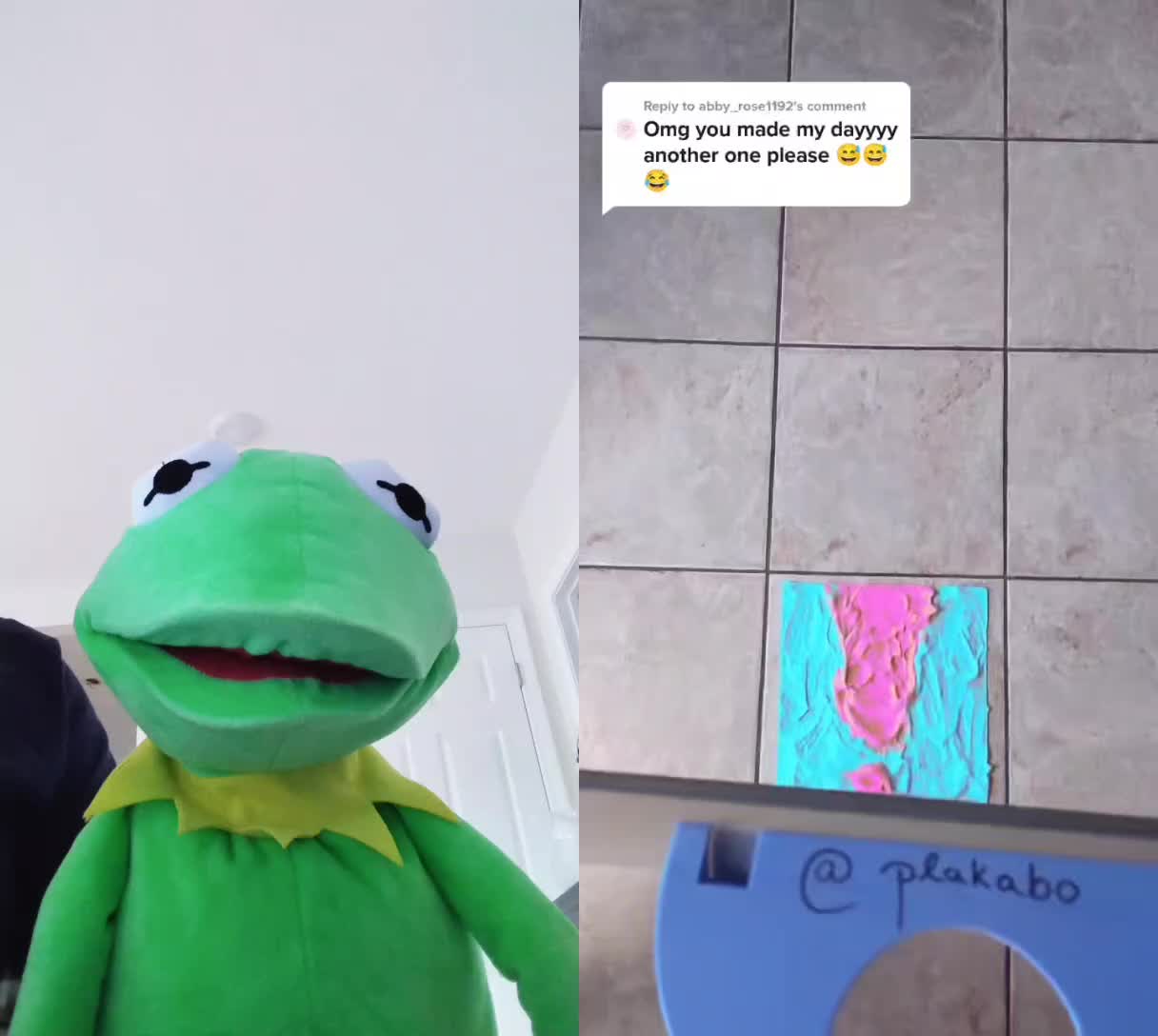 @Kermit The Frog Tiktok
