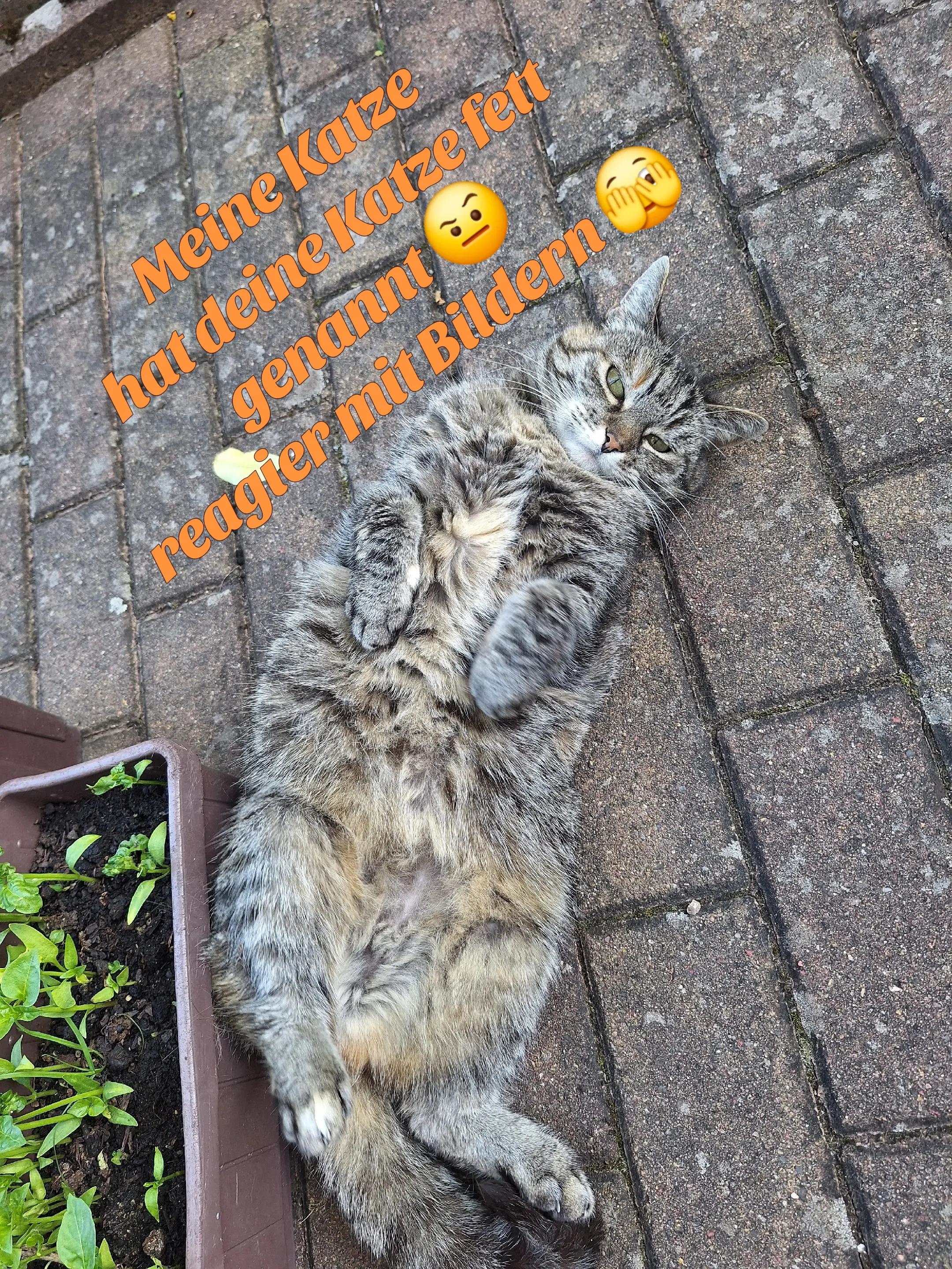 @Susi & der Dosenöffner 🤔🤣