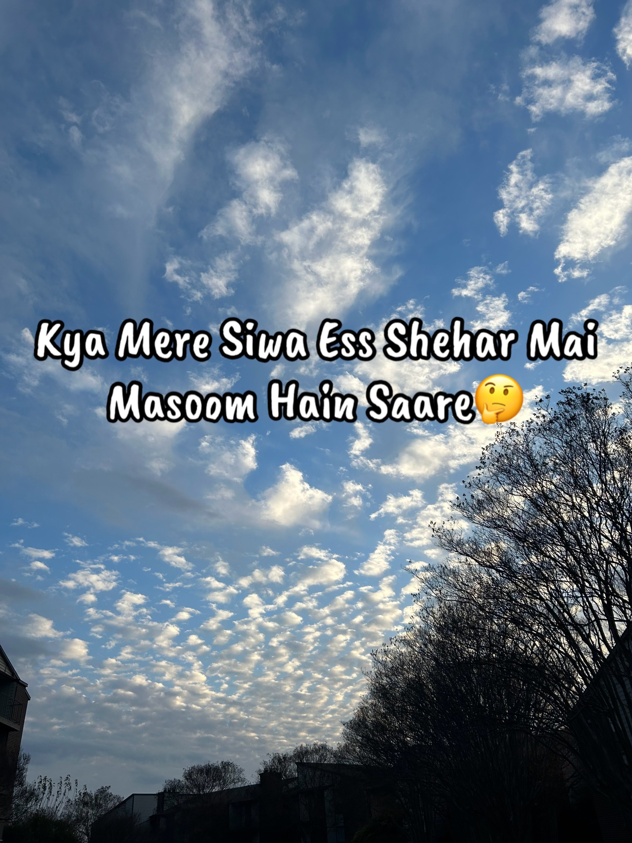@ZaraHayat020104