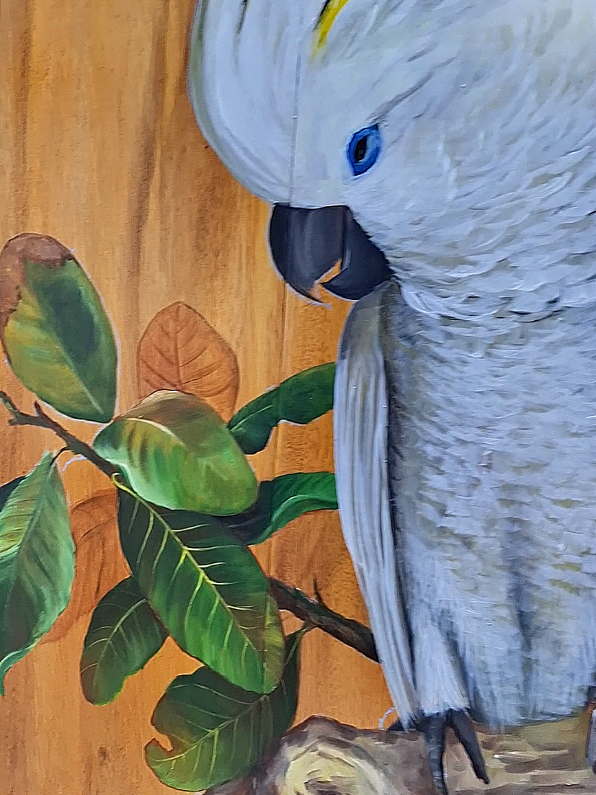 @Andr&eacute;ia Buzon 🎨