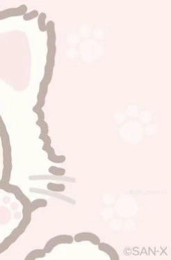 @┆⚠︎⏤͟͟͞͞🐰𝐁odoque 𝐓iktok XD┆