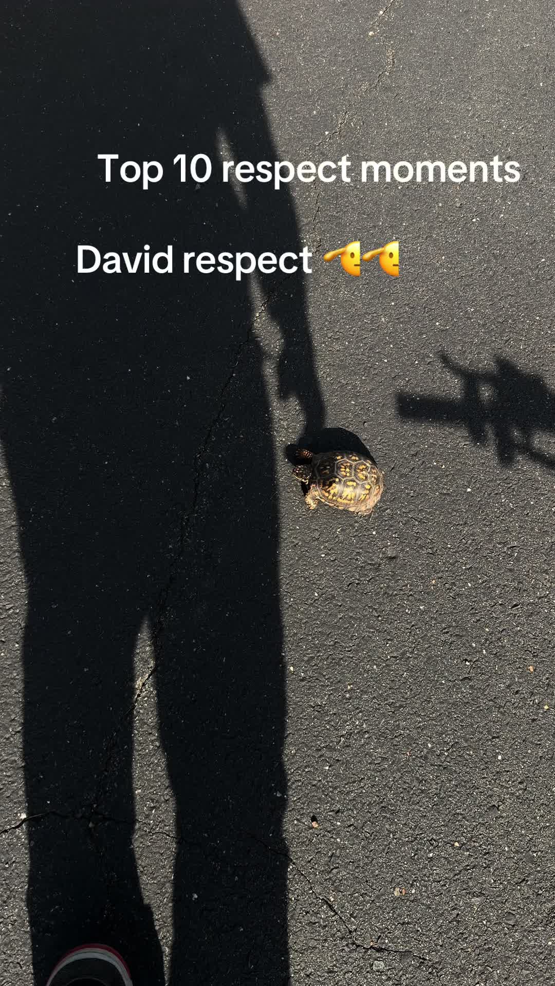 @David