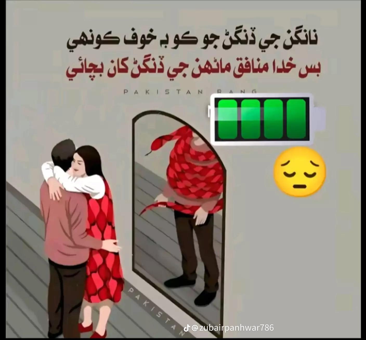 @zamin ali