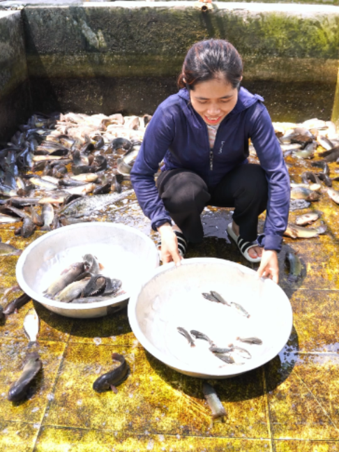 @Trại Cá Giống Quang Lâm