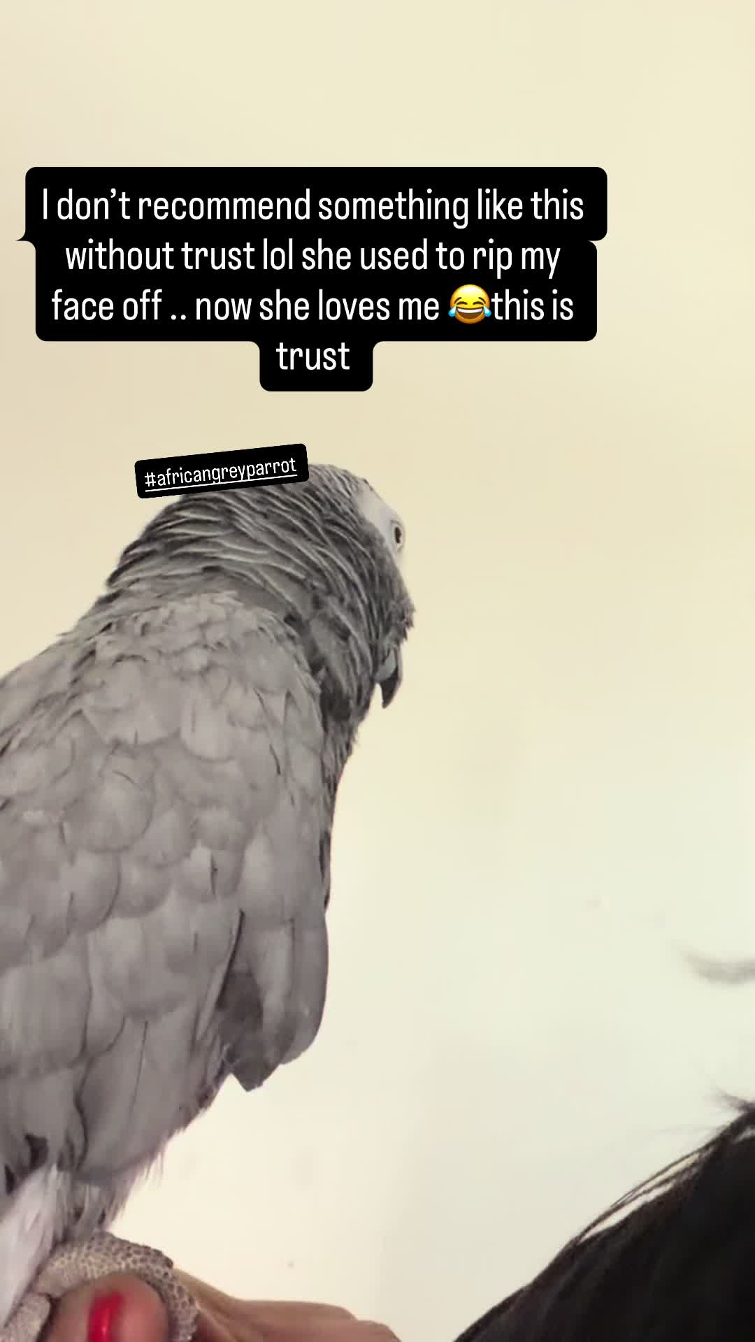 @Tina 🇦🇲