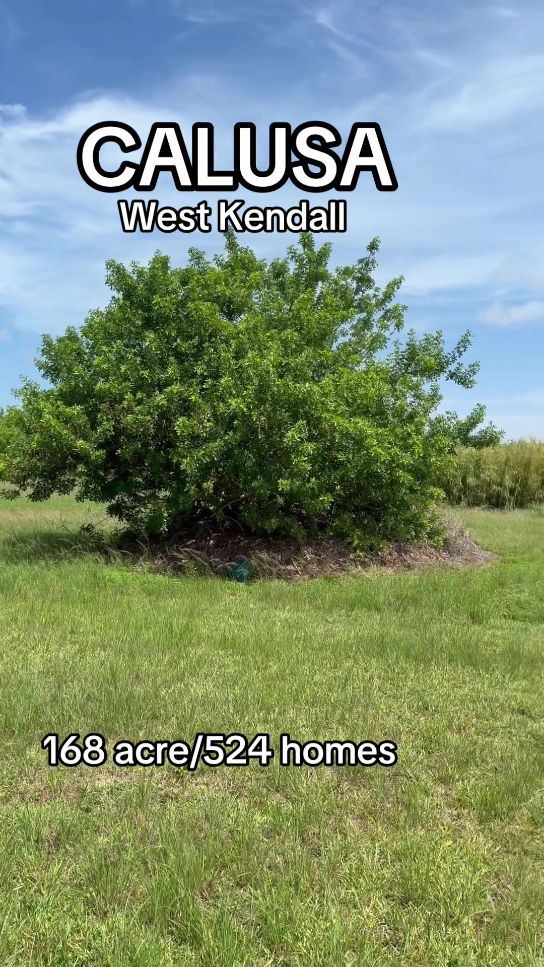 @Florida Land Guy