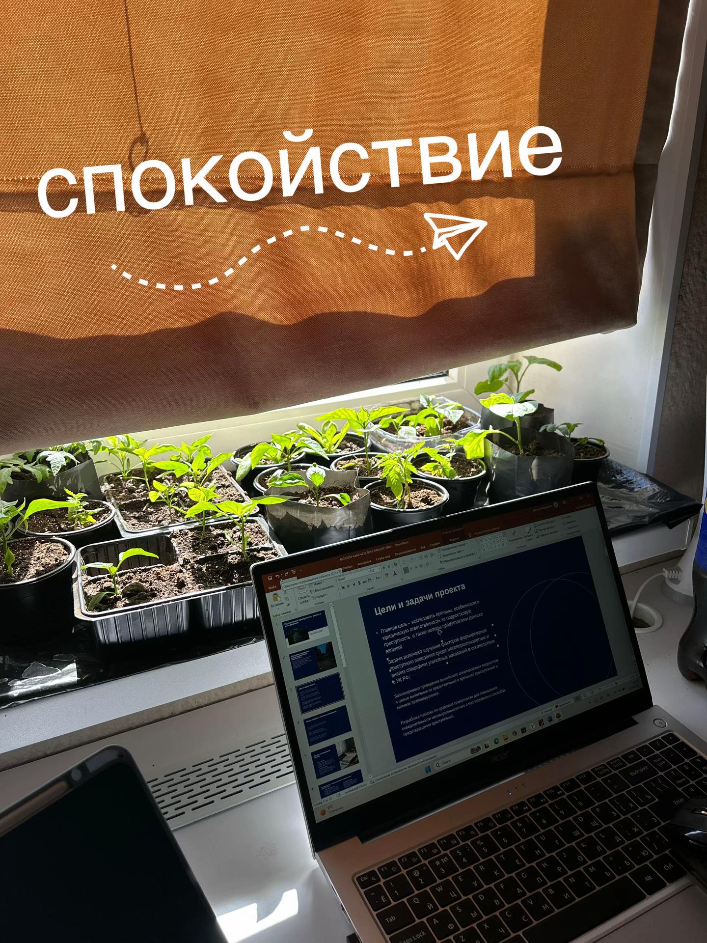 @аминка