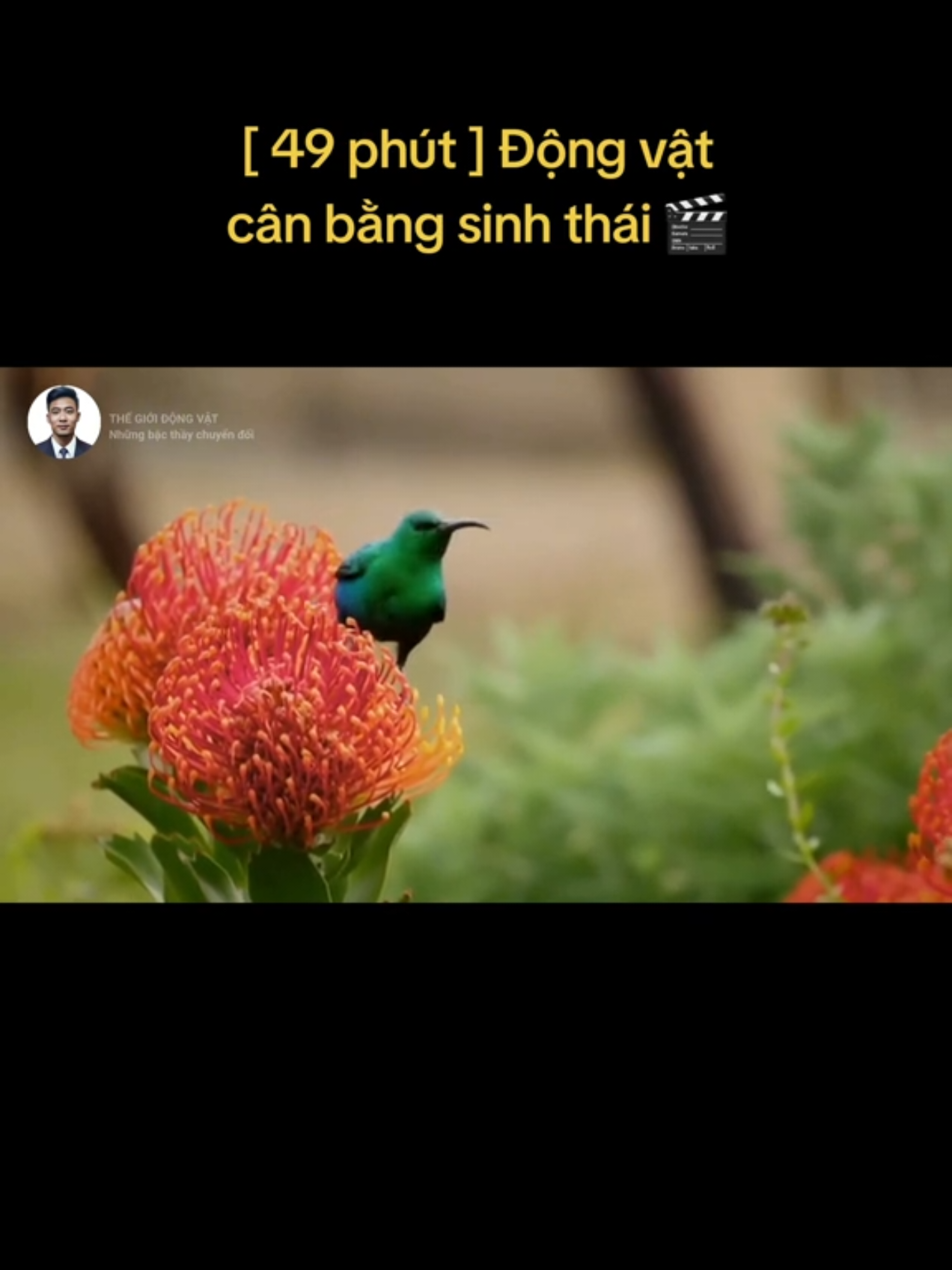@🌏 BATMAN