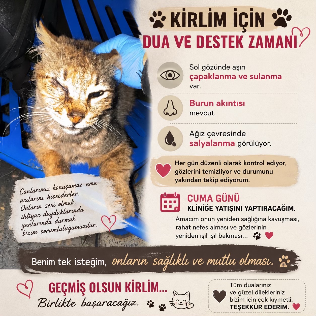 @Salim Kuntoğlu