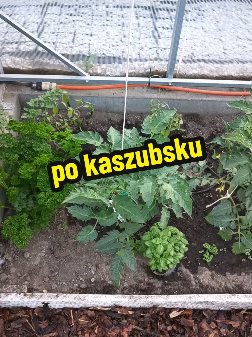 @Marcin ogrodnik