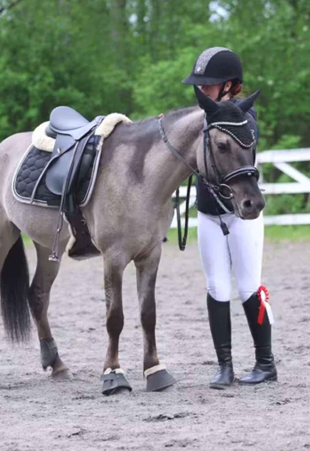 @krista || ig kayhkodressage