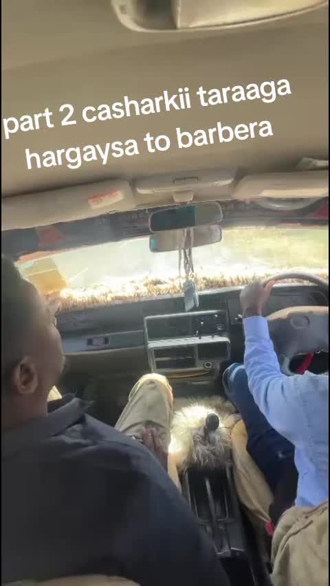 @Daryeel driving school 🚘