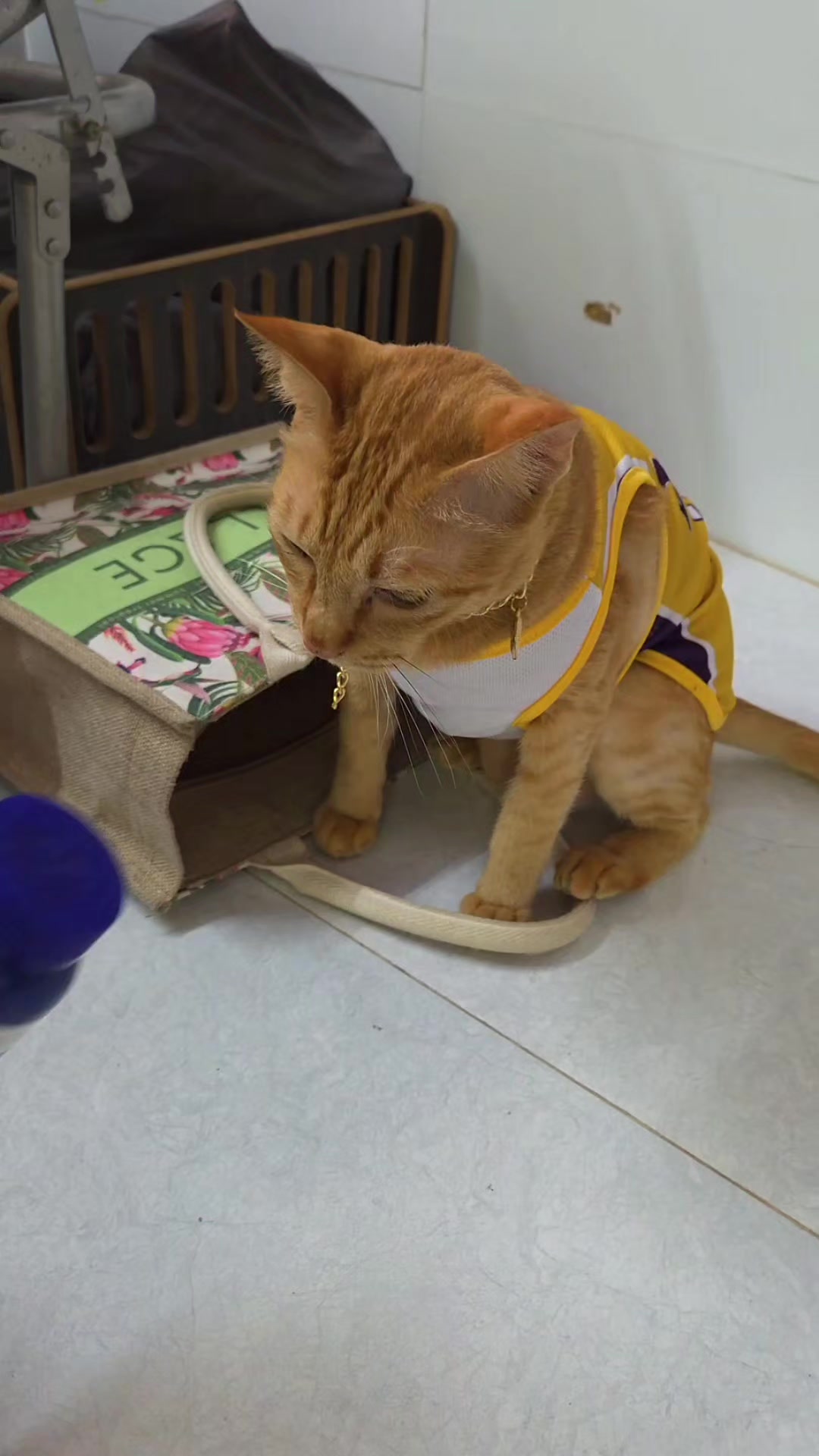 @Khế th&uacute;i