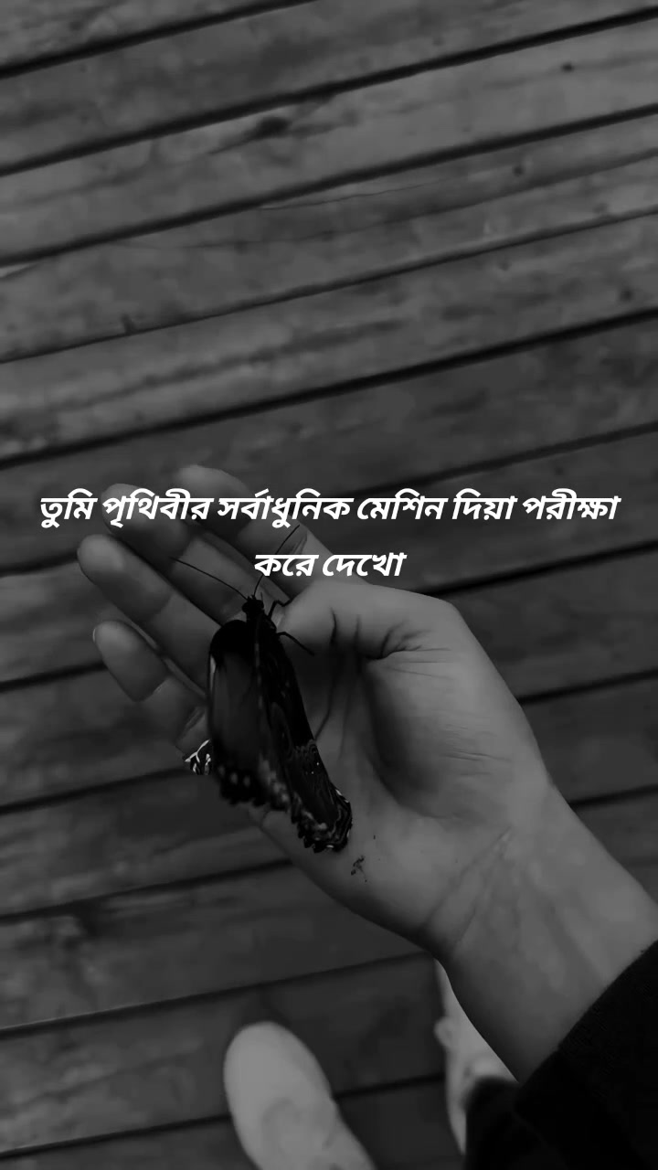 @𝑹𝒂𝒋𝒐𝒏 𝑨𝒉𝒎𝒆𝒅💫🍁