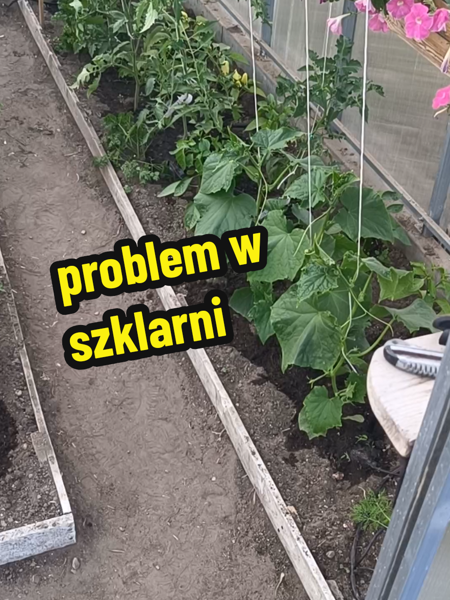 @Marcin ogrodnik
