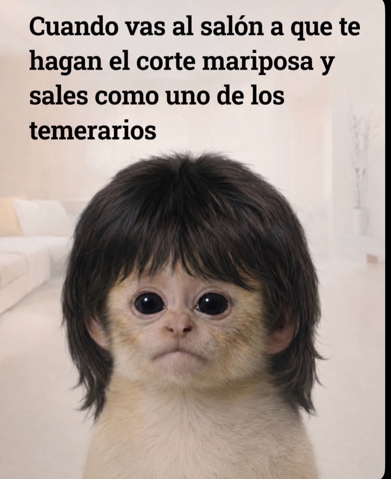 @tellebarajas