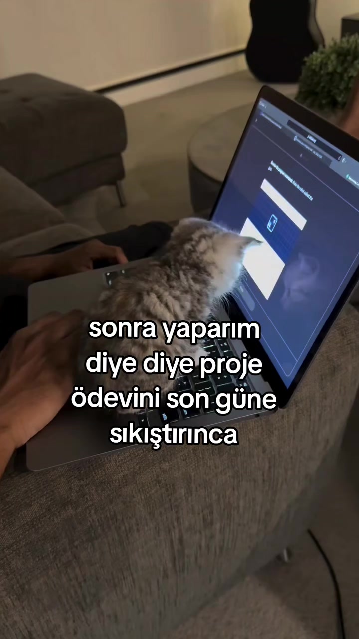 @rolland