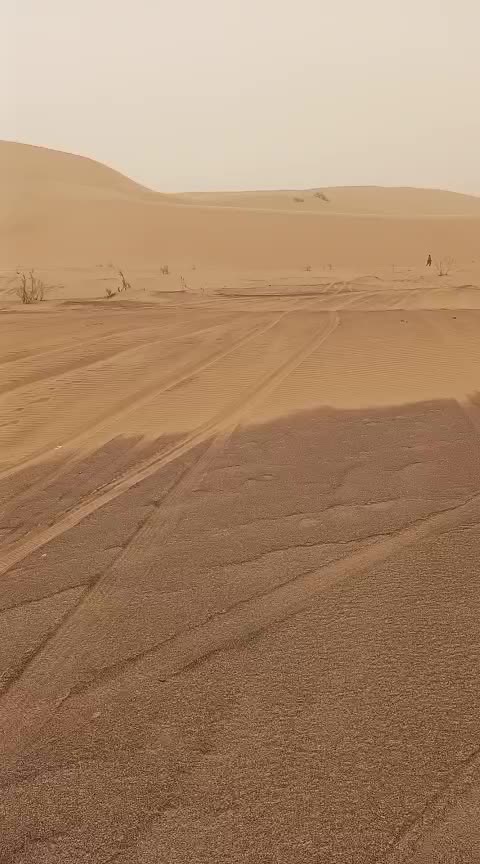 @Ar&hearts;Ar&hearts;Ar