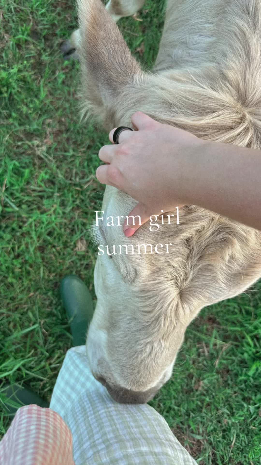 @Heavenly_Homestead