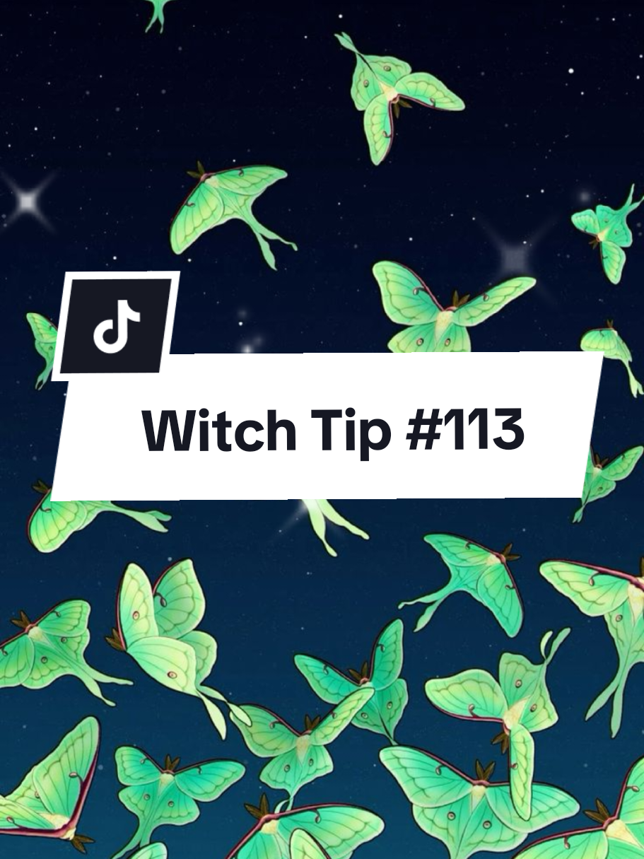 @Mira_TheCatWitch