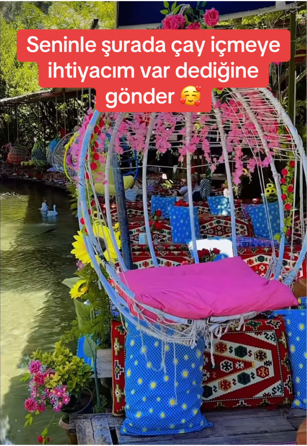 @Aylin Demir Fanları