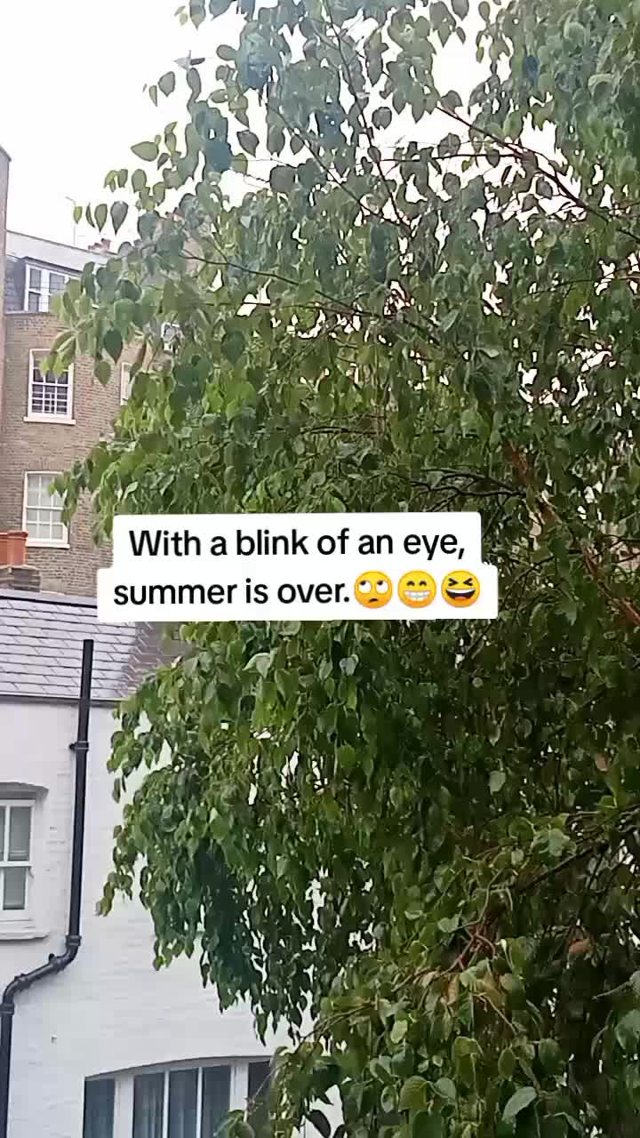 @Mindsett77