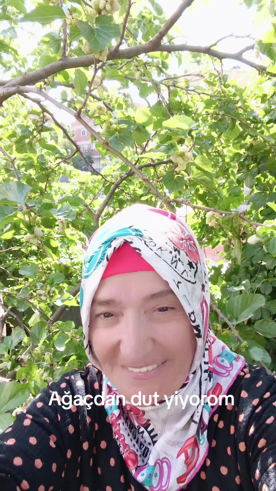 @Ş&uuml;kran Yilmaz