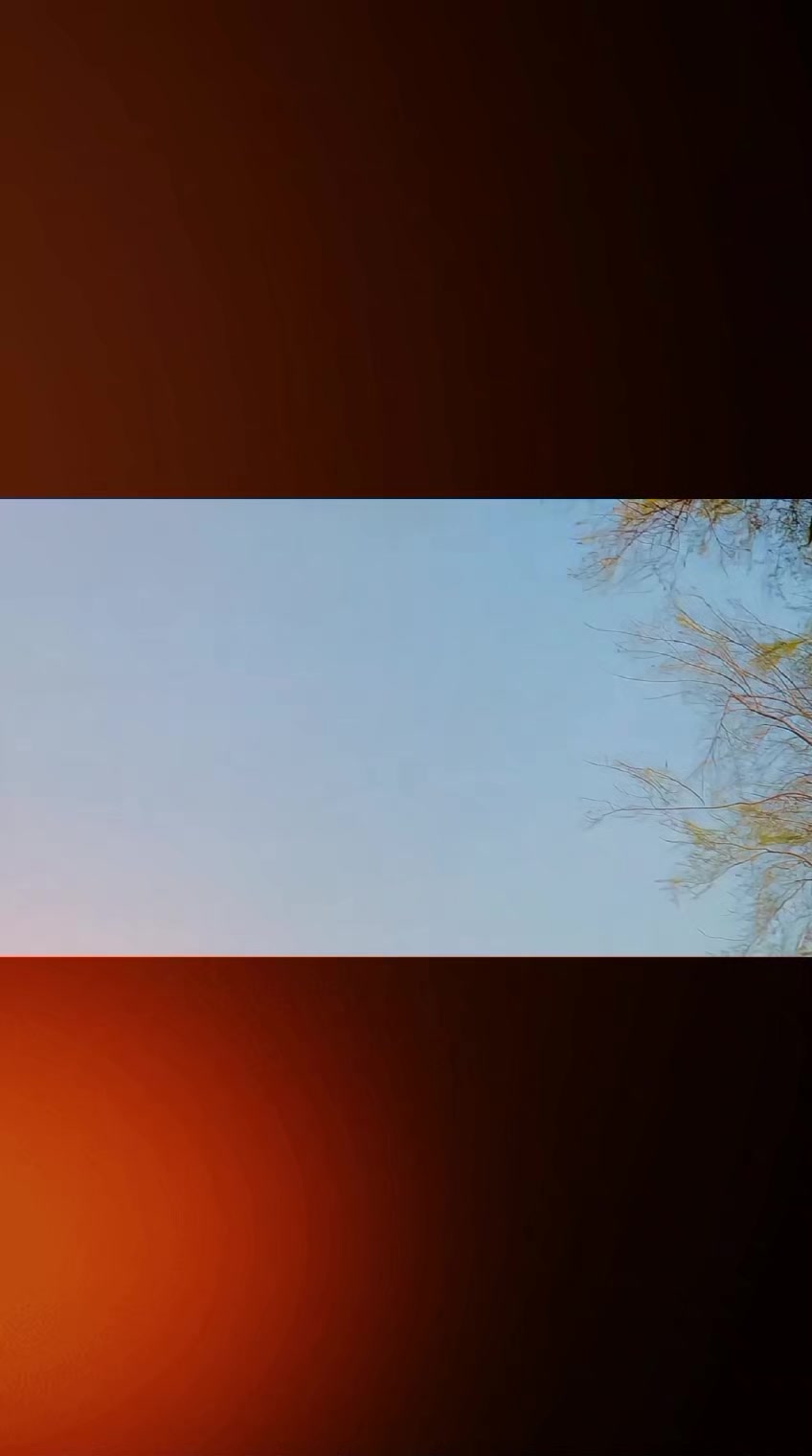 @درندہ ︻╦デ╤━✨💸