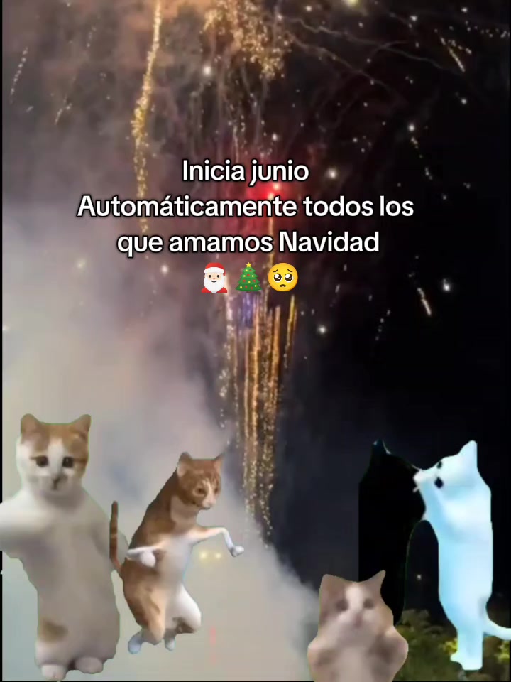 @NAVIDAD❤️&zwj;🩹 2,026 🎅🏻🎅🏻