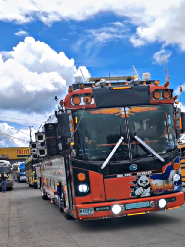 @Bussid_Honduras🇭🇳🔰(David)
