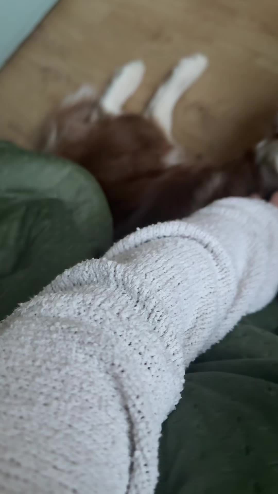 @azda.aaa