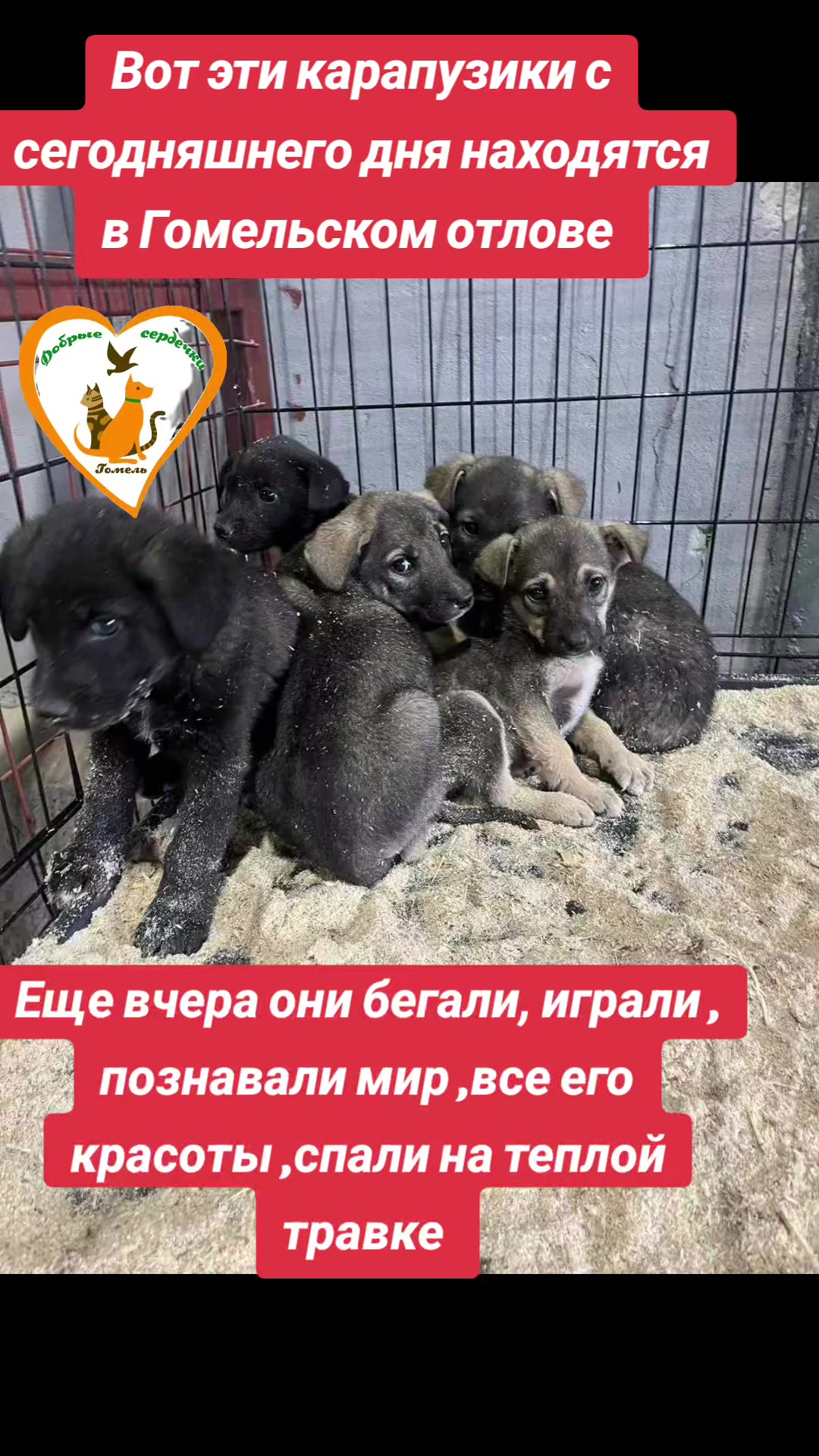 @Марина