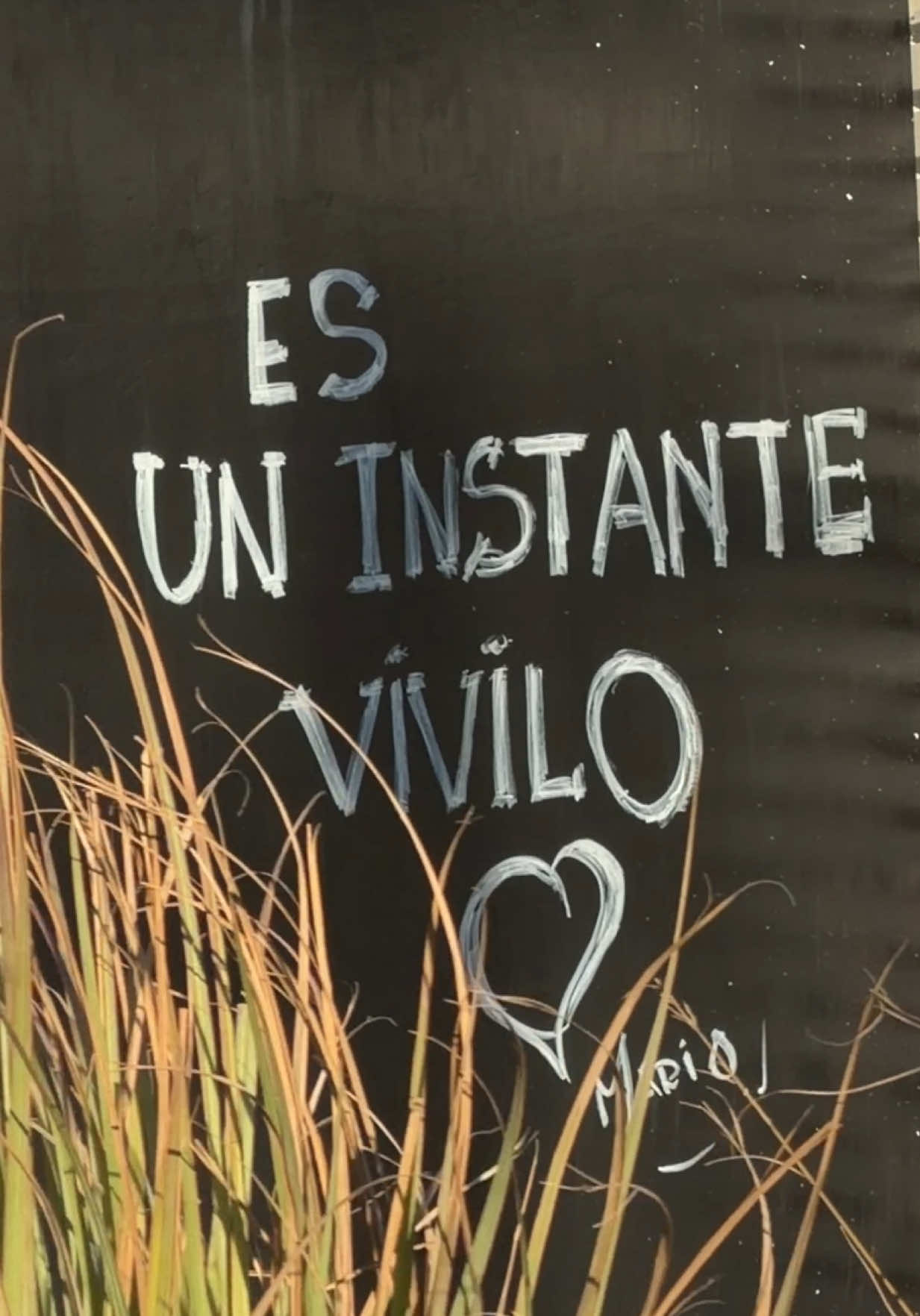 @Agostina Sosa