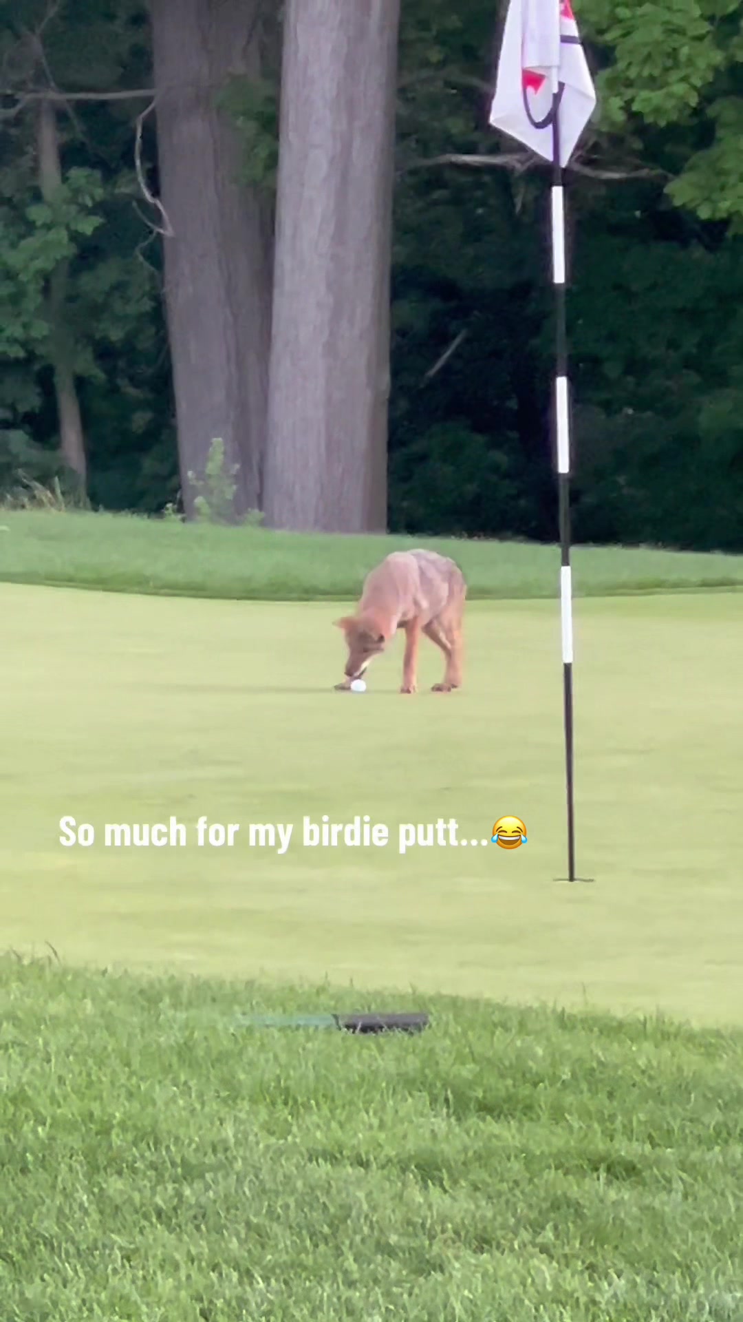 @Barstool Sports