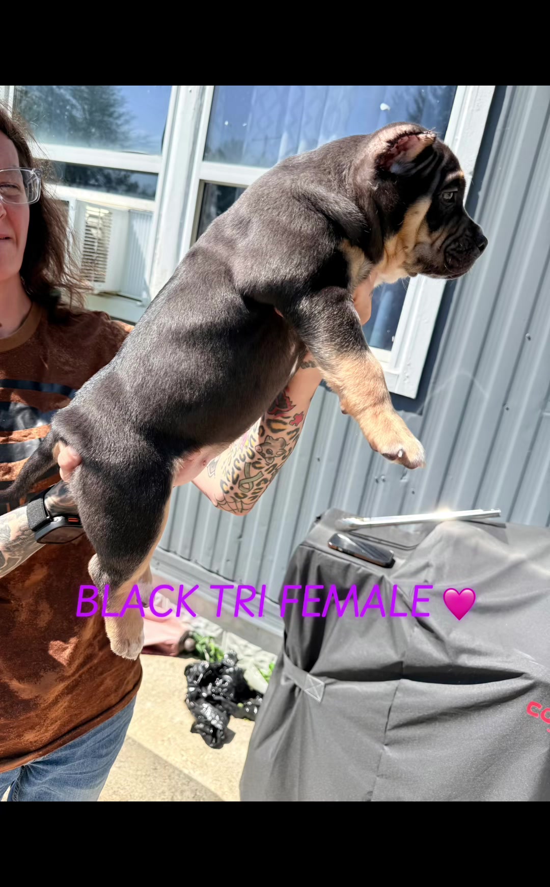 @Katelyn&bull;Rankin&bull;BigRBullies