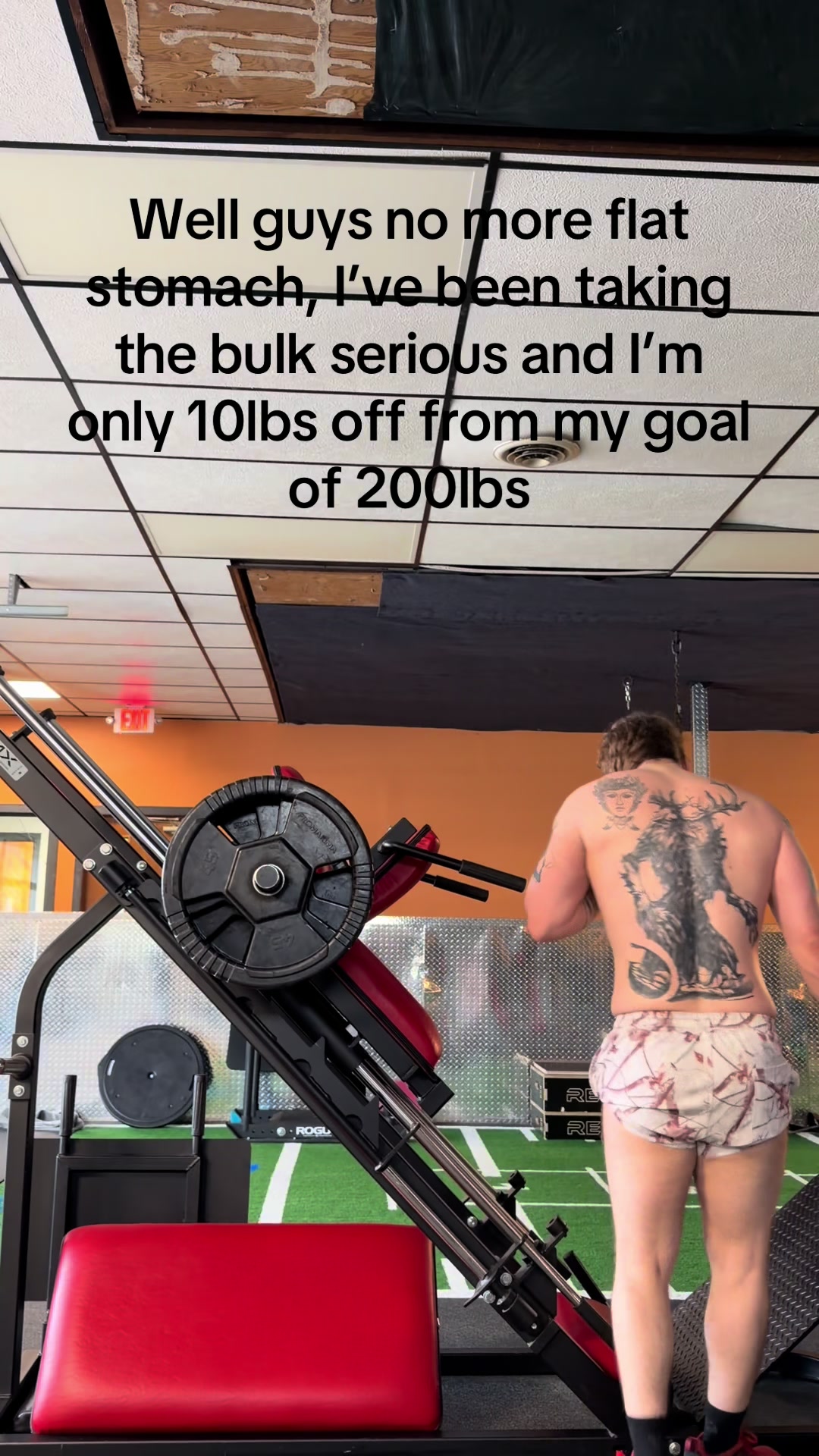 @thenerdybodybuilder