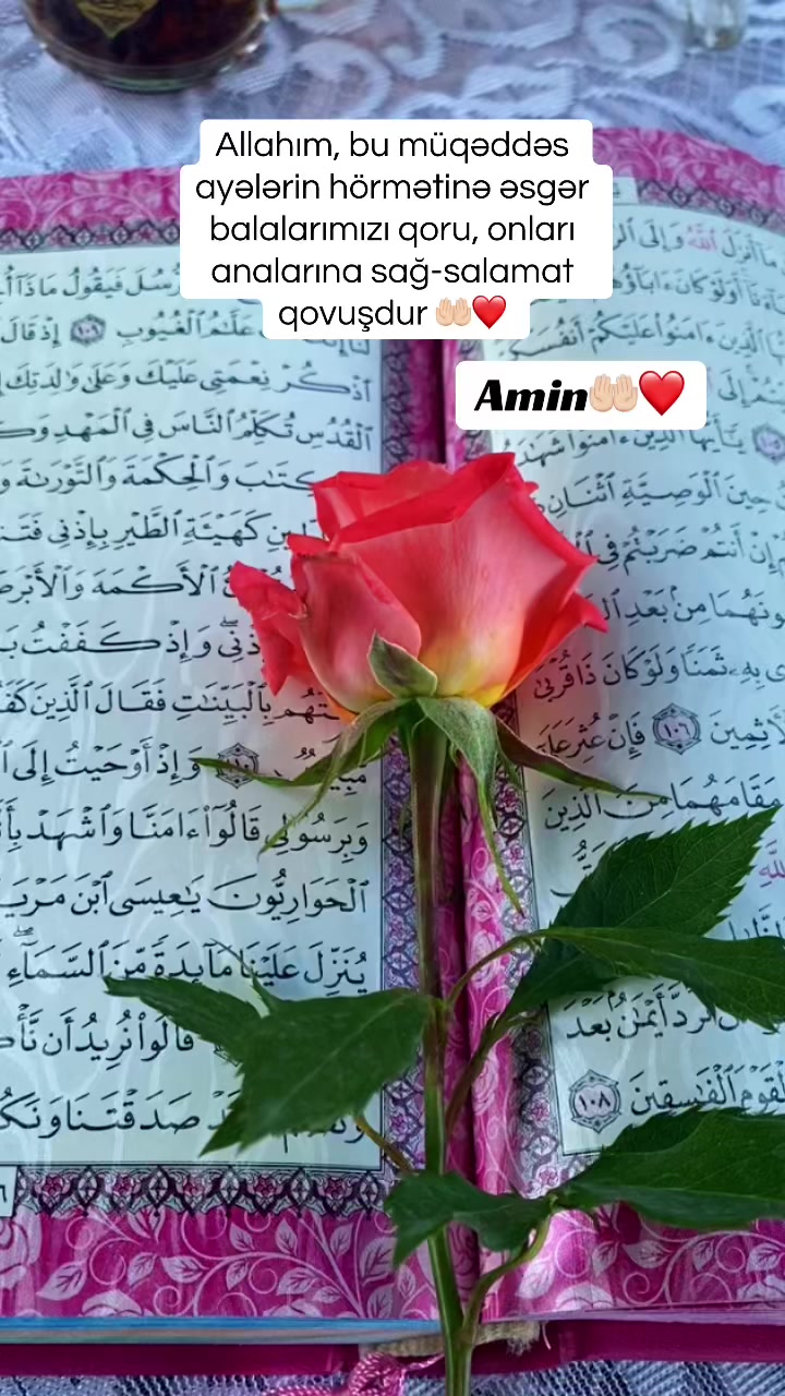 @_gulu_313