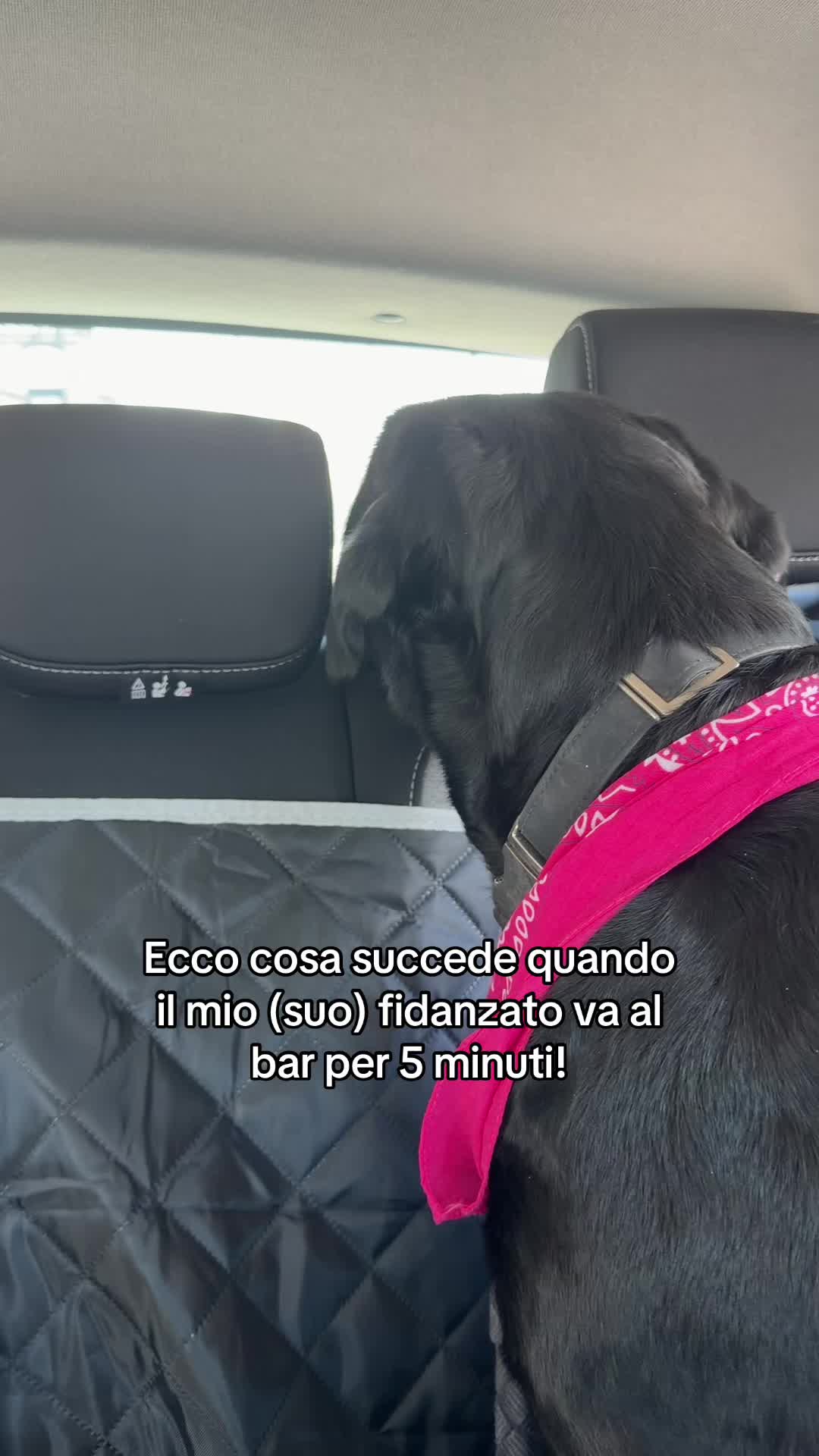@Cloe e sabry🖤🐾
