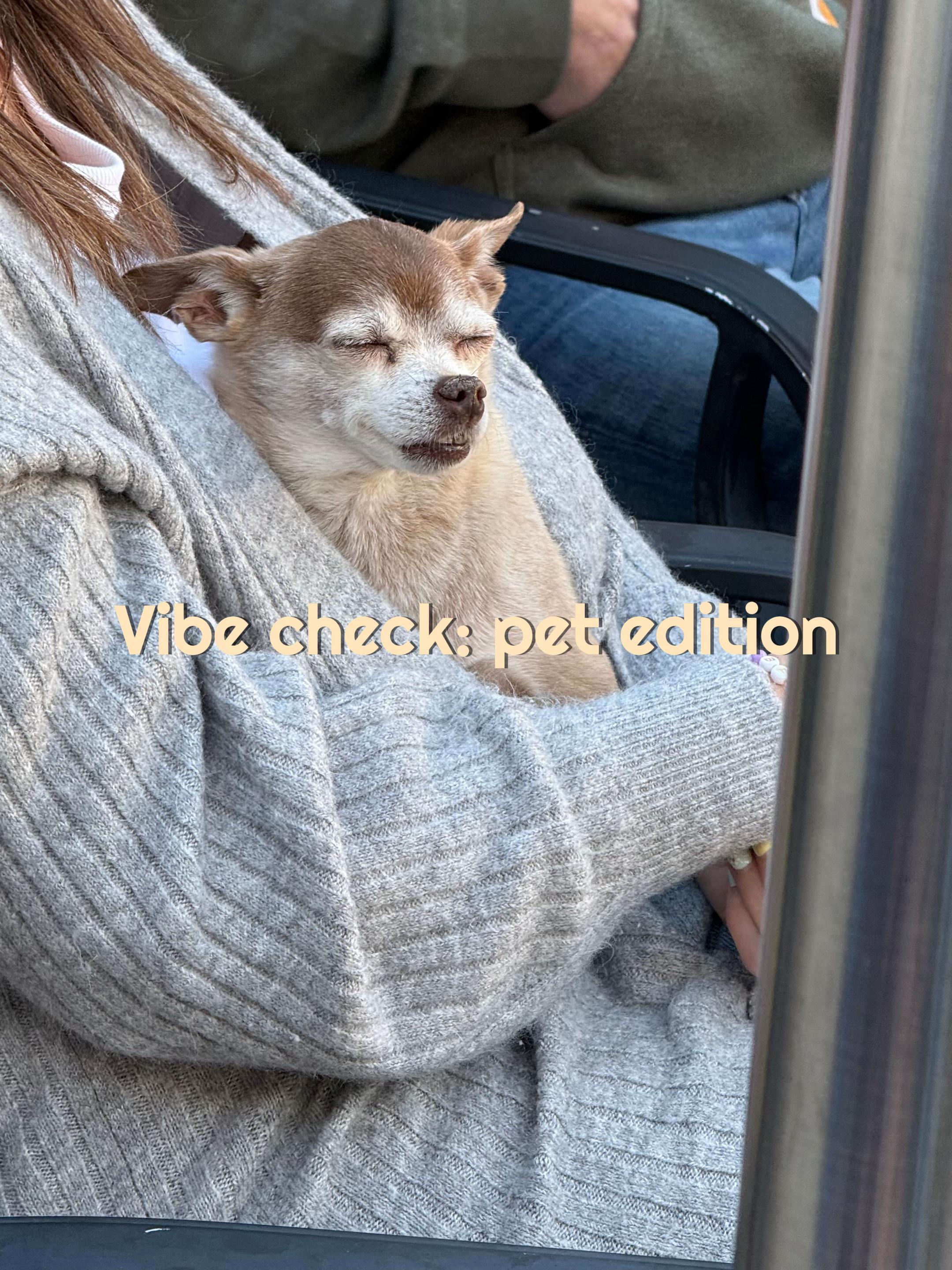 @mollyotischloee