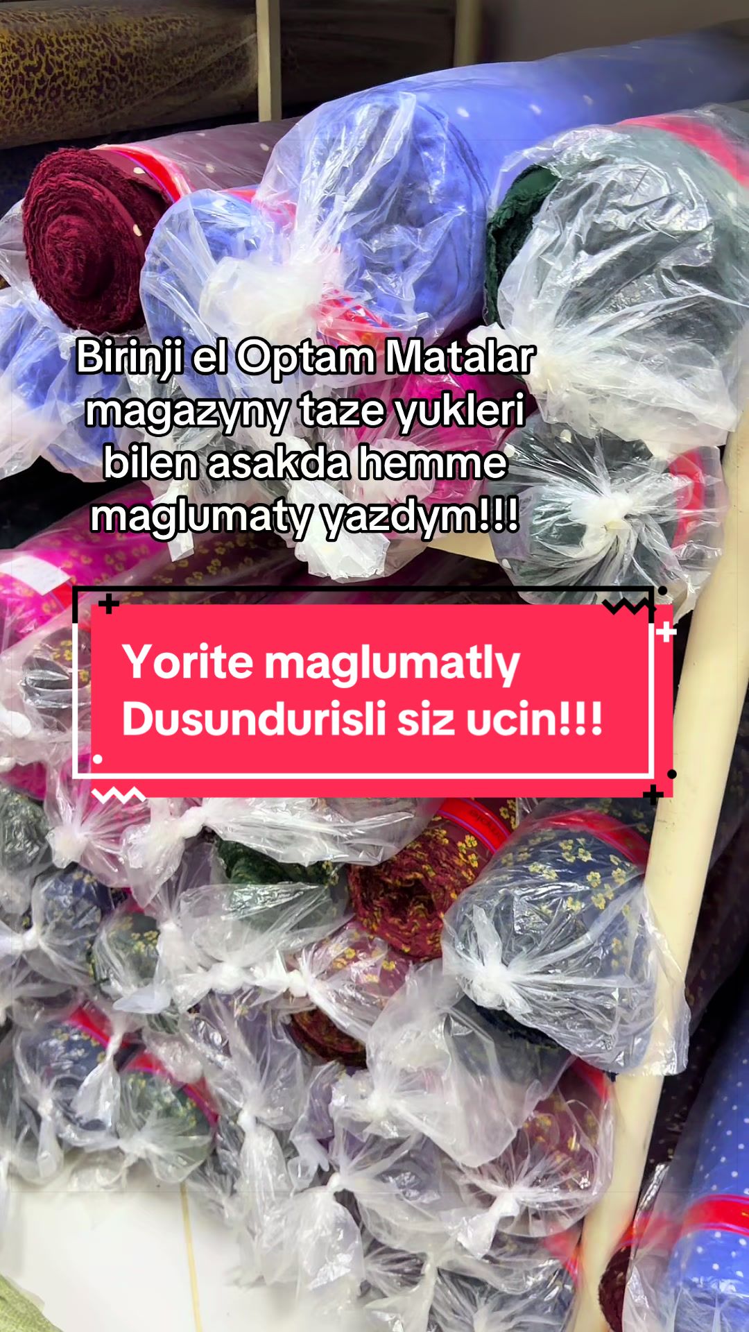 @Birinji el Optam Stapyllar1
