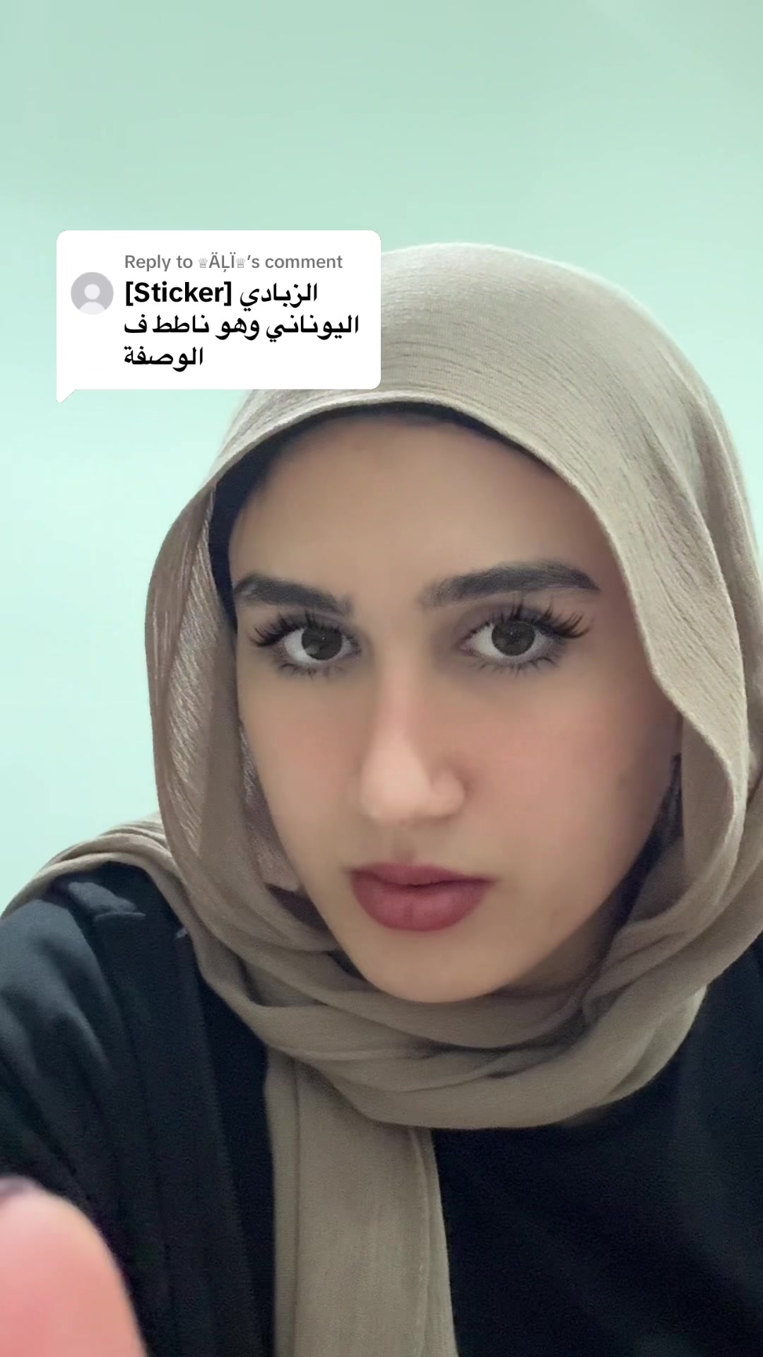 @Alaa Elemam